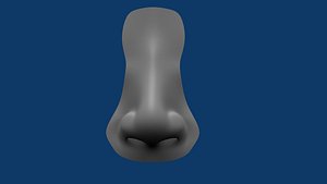 Nose