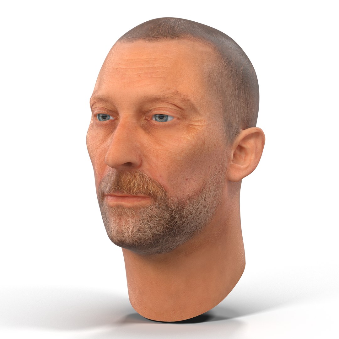 Male Head 2 3D Model 3D model preview