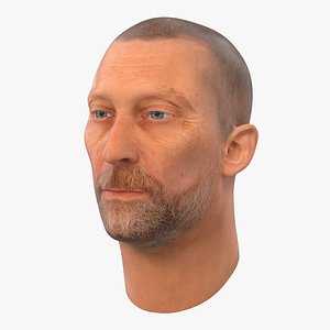 3d model male head 2