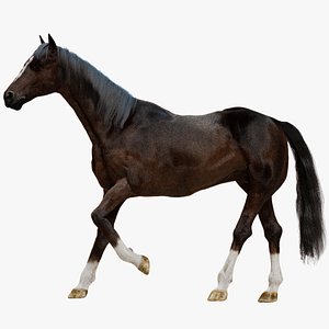 3D model Brown Horse Rigged Fur 3D