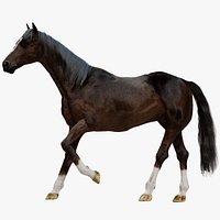 Brown Horse Rigged Fur 3D
