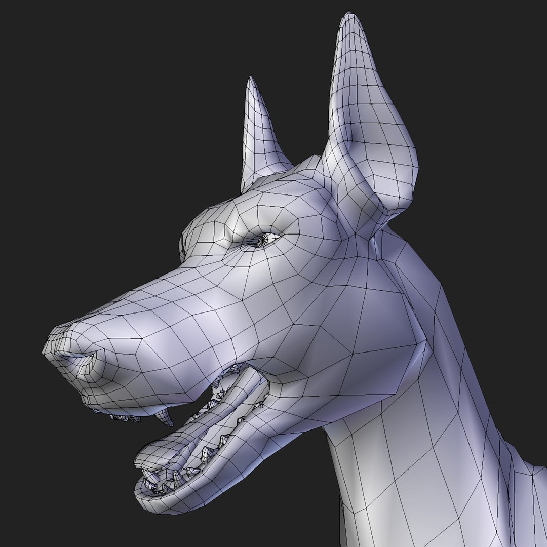 Doberman 3D Model - TurboSquid 1358490