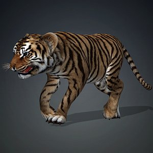 Tiger BaBy-A2 model