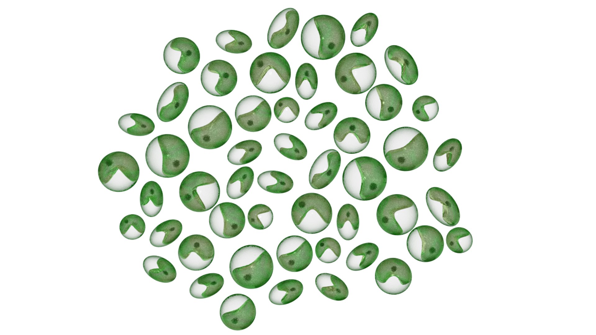 Maya Chlorella Green