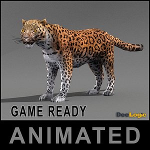 Leopard