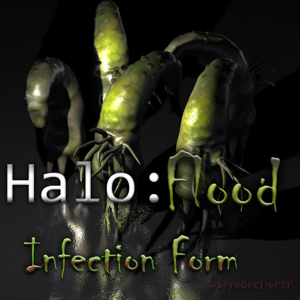 halo flood d max