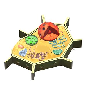 3D Plant cell