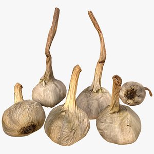 3D Garlic