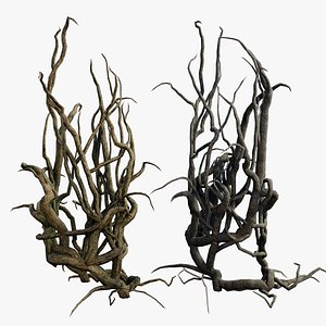 Roots PBR v1 3D model