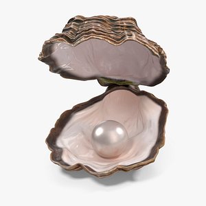 3D Light Oyster Shell with White Pearl model
