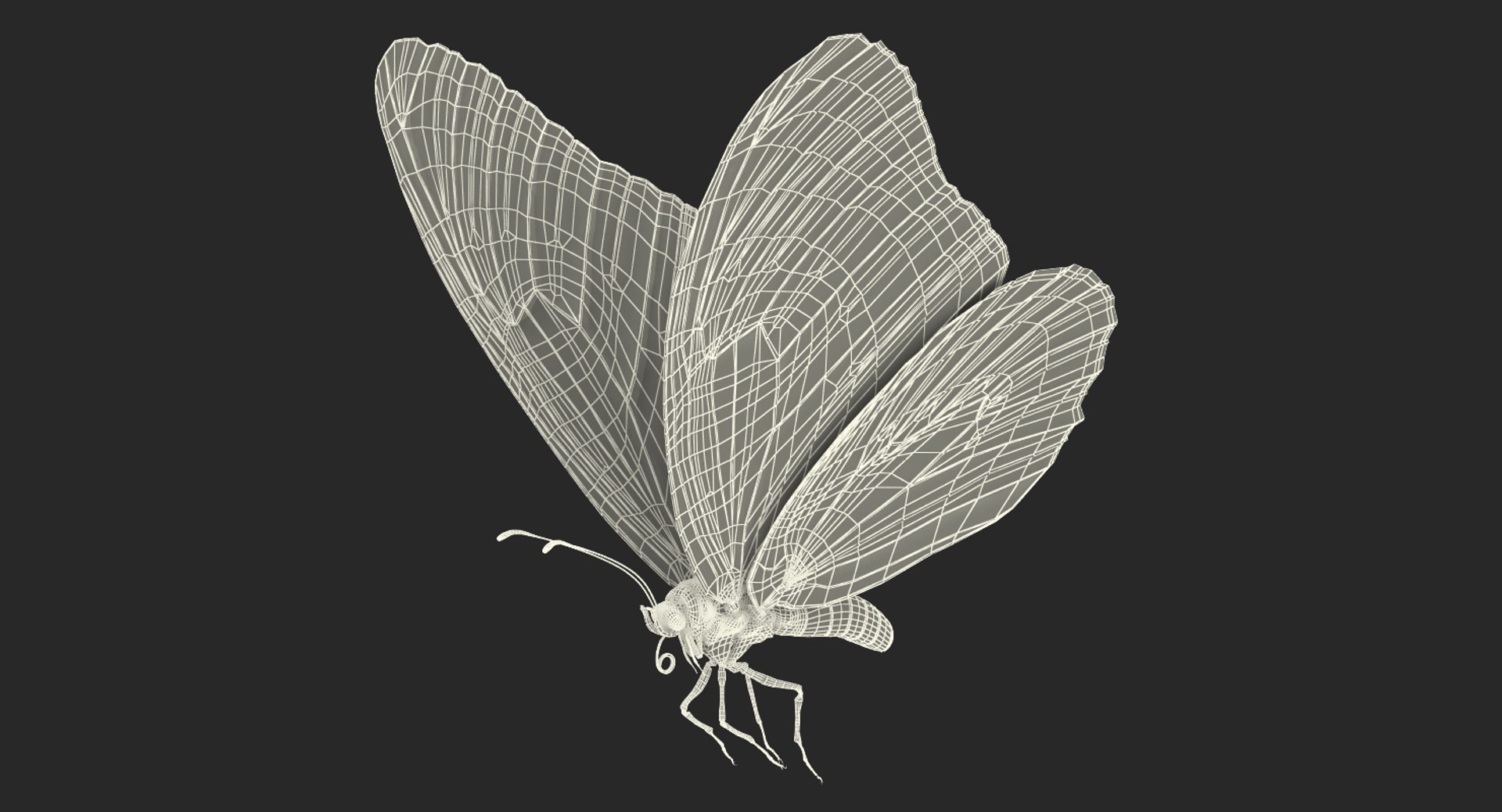 3D model monarch butterfly rigged https://p.turbosquid.com/ts-thumb/DN/icO7Q4/2MmzFOGz/monarchbutterflyrigged3dmodel017/jpg/1520062324/1920x1080/fit_q87/67ef8a2b4e3d19332e80516028528801f820fbe4/monarchbutterflyrigged3dmodel017.jpg