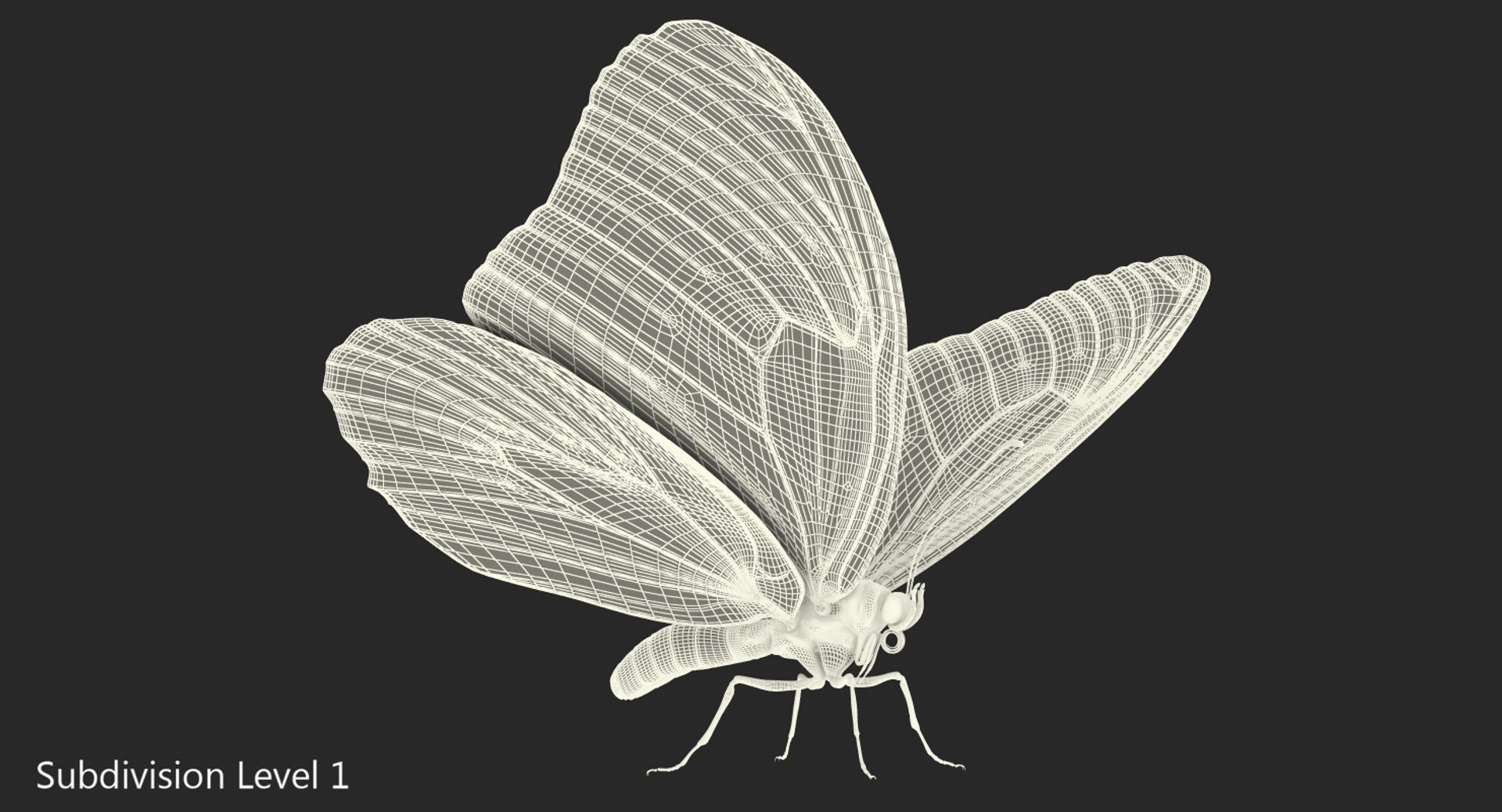 3D model monarch butterfly rigged https://p.turbosquid.com/ts-thumb/DN/icO7Q4/34WPpHrm/monarchbutterflyrigged3dmodel013/jpg/1520062286/1920x1080/fit_q87/29e5931c9bca4a90d0b1ec8f1d39bb0abdae7724/monarchbutterflyrigged3dmodel013.jpg