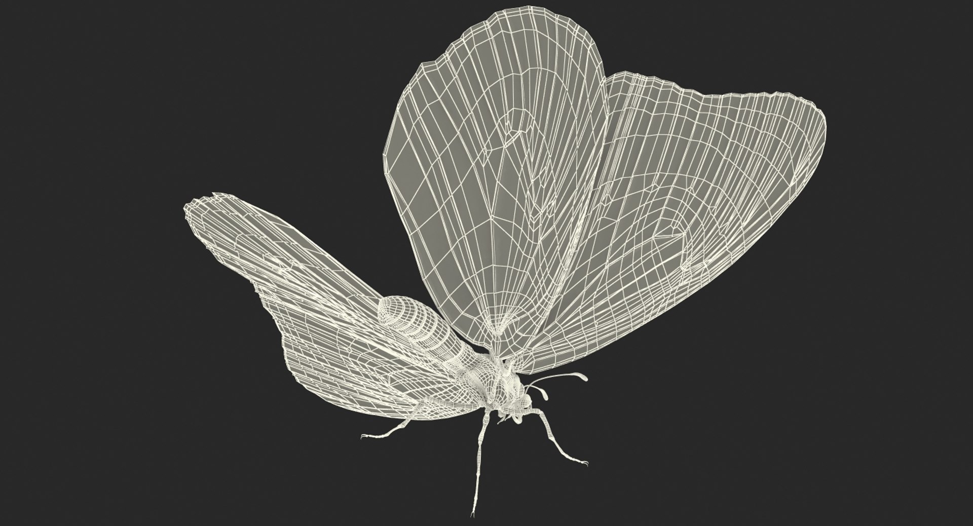 3D model monarch butterfly rigged https://p.turbosquid.com/ts-thumb/DN/icO7Q4/37HS4s9B/monarchbutterflyrigged3dmodel019/jpg/1520062331/1920x1080/fit_q87/4276c7c048c87ace3dd40d80e11c762f381190d1/monarchbutterflyrigged3dmodel019.jpg