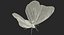 Monarch Butterfly Rigged 3D Model
