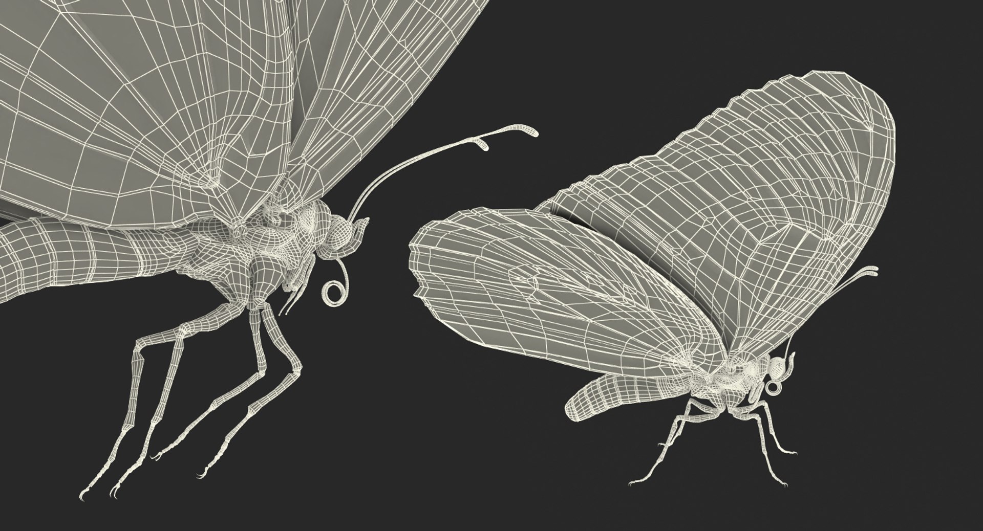 3D model monarch butterfly rigged https://p.turbosquid.com/ts-thumb/DN/icO7Q4/6rcUp08z/monarchbutterflyrigged3dmodel020/jpg/1520062335/1920x1080/fit_q87/1e6ff12af207061a53f5503250f690059b8998c1/monarchbutterflyrigged3dmodel020.jpg