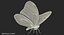 Monarch Butterfly Rigged 3D Model