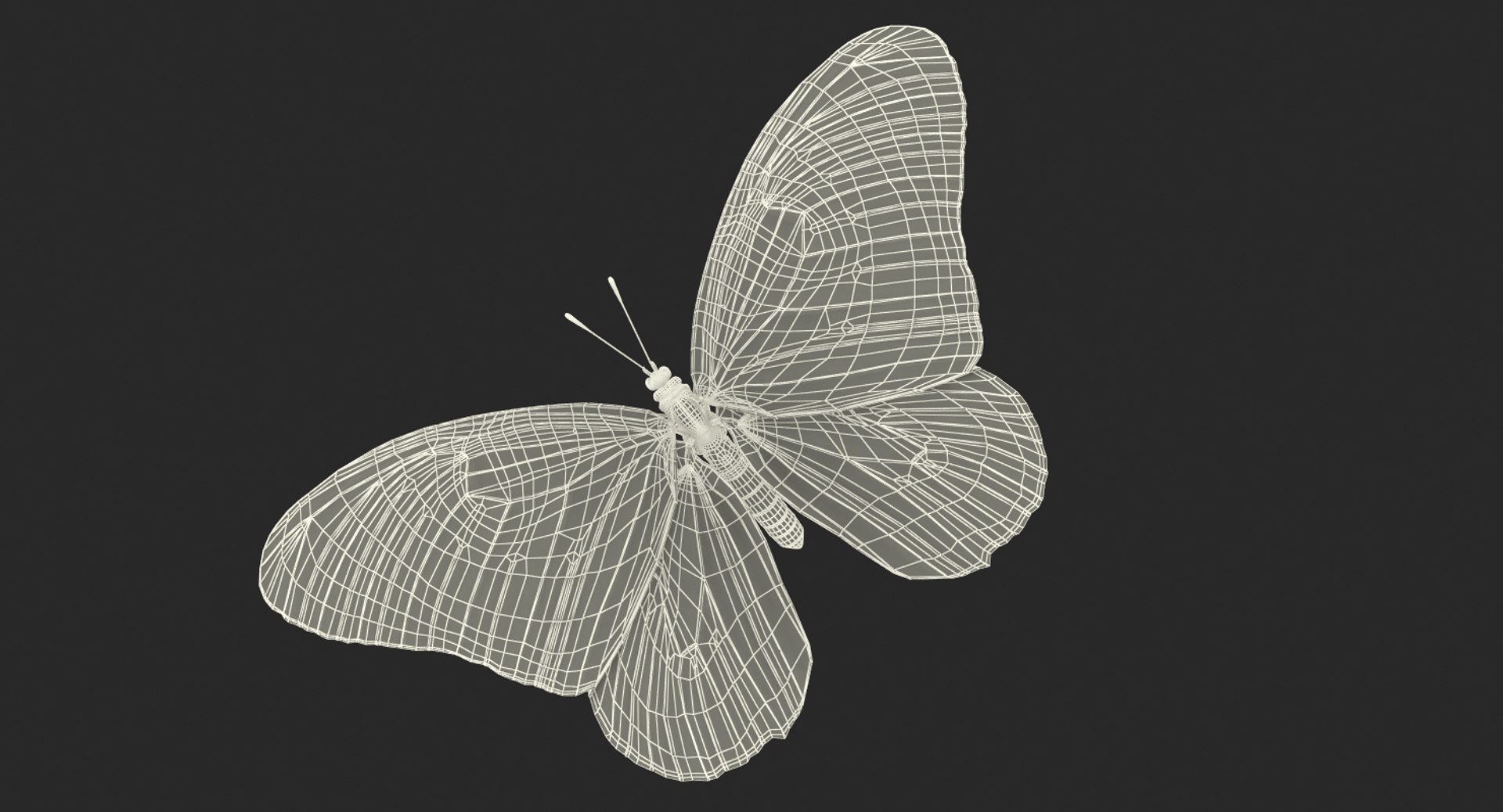 3D model monarch butterfly rigged https://p.turbosquid.com/ts-thumb/DN/icO7Q4/Qs37fjtf/monarchbutterflyrigged3dmodel018/jpg/1520062328/1920x1080/fit_q87/f2d0ceecf2e9a7e136eed0a70d14afacb671dc89/monarchbutterflyrigged3dmodel018.jpg