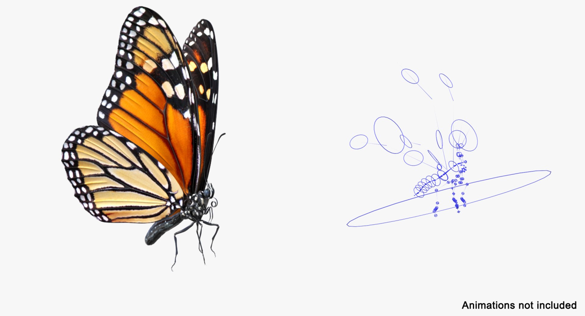 3D model monarch butterfly rigged https://p.turbosquid.com/ts-thumb/DN/icO7Q4/i61RyGp6/monarchbutterflyrigged3dmodel011/jpg/1520062279/1920x1080/fit_q87/863219b336d724eb8dac467b1d2ffa8d13faa689/monarchbutterflyrigged3dmodel011.jpg