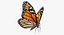 Monarch Butterfly Rigged 3D Model