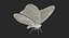 Monarch Butterfly Rigged 3D Model