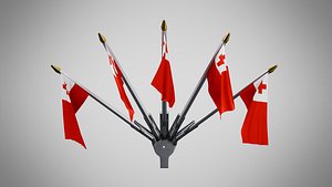Wall Mount Flags 5 Of Tonga 3D model