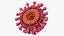 Coronavirus 2019-nCoV Collection