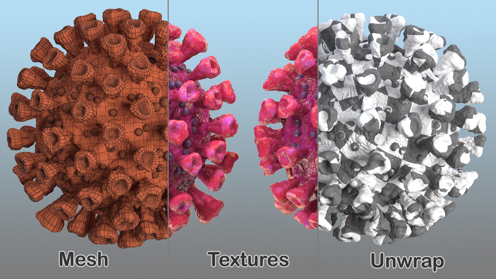 coronavirus 2019-ncov virus corona 3D https://p.turbosquid.com/ts-thumb/DN/qEklFq/PGWv6aUd/coronavirus2019ncovcollectionmb3dmodel017/jpg/1584567703/1920x1080/fit_q87/7d3093dd27f1b4e7f65ef58ce17ea3689bf82f51/coronavirus2019ncovcollectionmb3dmodel017.jpg