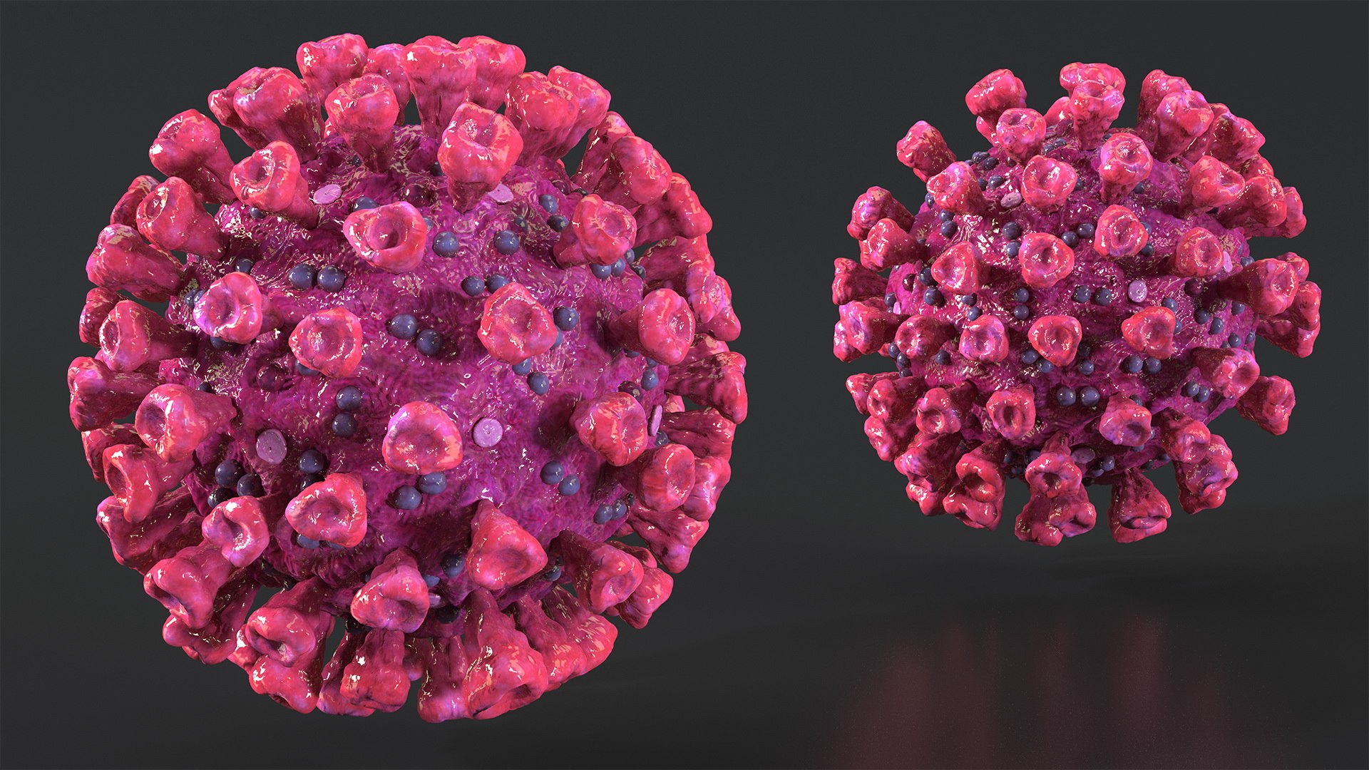 coronavirus 2019-ncov virus corona 3D https://p.turbosquid.com/ts-thumb/DN/qEklFq/WWVuae0x/coronavirus2019ncovcollectionmb3dmodel016/jpg/1584567697/1920x1080/fit_q87/6ff6716741bc00a1e7cf42912e997aa872c6d2d3/coronavirus2019ncovcollectionmb3dmodel016.jpg
