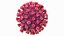Coronavirus 2019-nCoV Collection