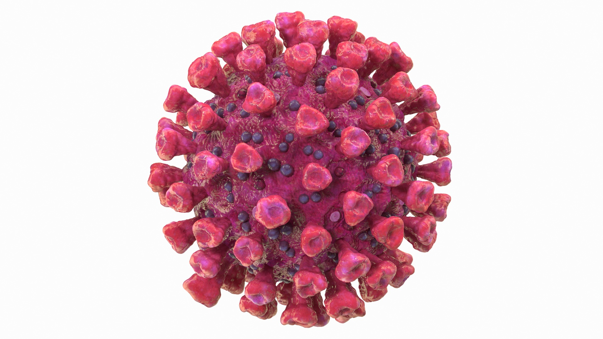 coronavirus 2019-ncov virus corona 3D https://p.turbosquid.com/ts-thumb/DN/qEklFq/Wmbf37Sc/coronavirus_2019ncov_collection_362/jpg/1584566689/1920x1080/turn_fit_q99/2769ac72933880510dd853e0d86b76a14b5bdb60/coronavirus_2019ncov_collection_362-1.jpg