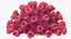 Coronavirus 2019-nCoV Collection