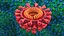Coronavirus 2019-nCoV Collection