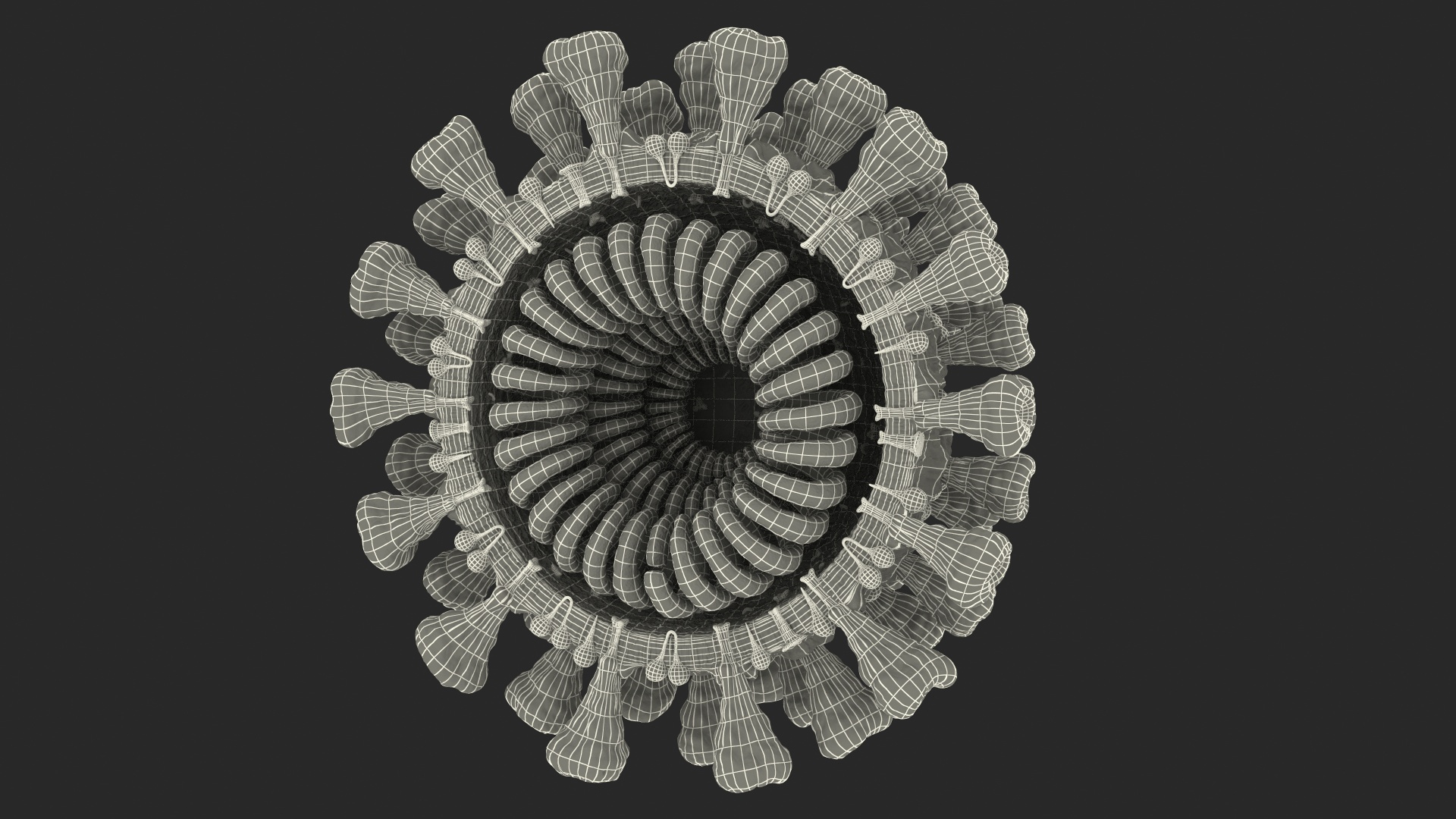 coronavirus 2019-ncov virus corona 3D https://p.turbosquid.com/ts-thumb/DN/qEklFq/kB8DrOQj/coronavirus_2019ncov_collection_361/jpg/1584567244/1920x1080/turn_fit_q99/a7681199ade7a406ec0877db7821b3eca12e1e8c/coronavirus_2019ncov_collection_361-1.jpg
