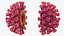 Coronavirus 2019-nCoV Collection