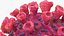 Coronavirus 2019-nCoV Collection