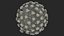 Coronavirus 2019-nCoV Collection