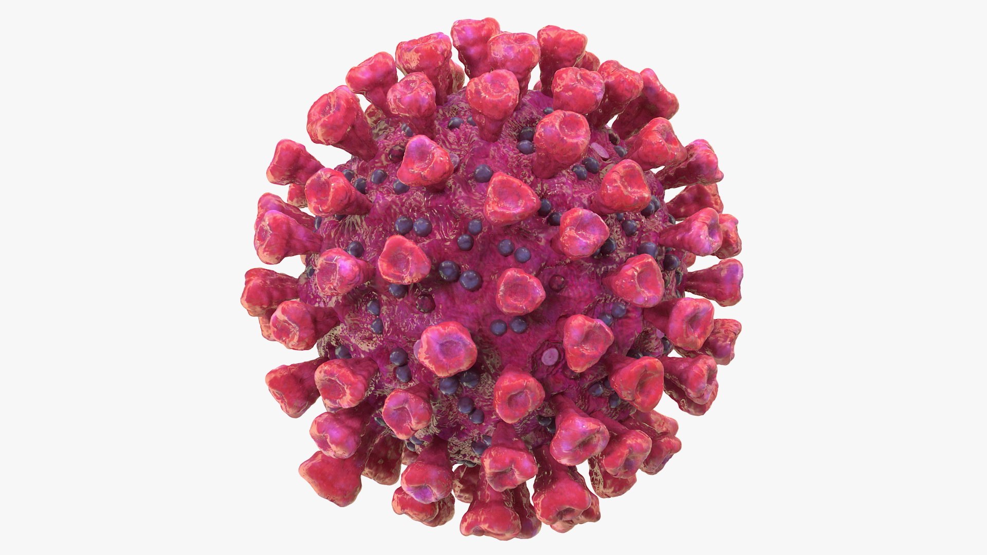 coronavirus 2019-ncov virus corona 3D https://p.turbosquid.com/ts-thumb/DN/qEklFq/weMnJu5s/coronavirus2019ncovcollectionmb3dmodel013/jpg/1584567686/1920x1080/fit_q87/26be8102f2d337af4e4fddba9c7f5ed7f5e95119/coronavirus2019ncovcollectionmb3dmodel013.jpg