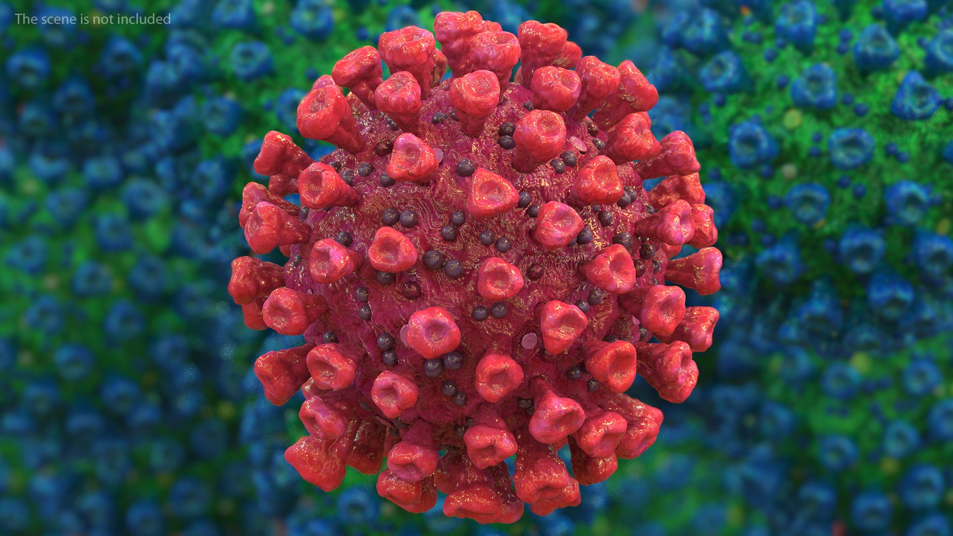 coronavirus 2019-ncov virus corona 3D https://p.turbosquid.com/ts-thumb/DN/qEklFq/x8FcNusN/coronavirus2019ncovcollectionmb3dmodel014/jpg/1584567691/1920x1080/fit_q87/994289085df66eb4448712eb369c2677f0c44fce/coronavirus2019ncovcollectionmb3dmodel014.jpg