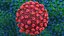 Coronavirus 2019-nCoV Collection