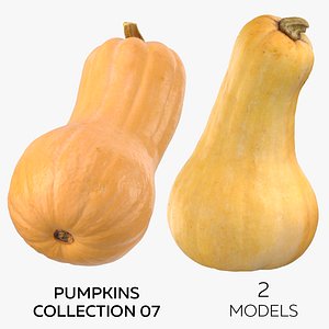 Pumpkins Collection 07 - 2 models 3D model