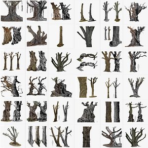 35 High-Resolution Tree 3D scans in One Bundle
