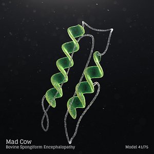 Mad Cow - Bovine Spongiform Encephalopathy