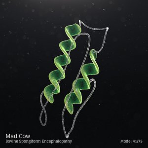 Mad Cow - Bovine Spongiform Encephalopathy