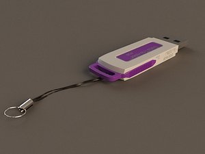 free max model memory stick
