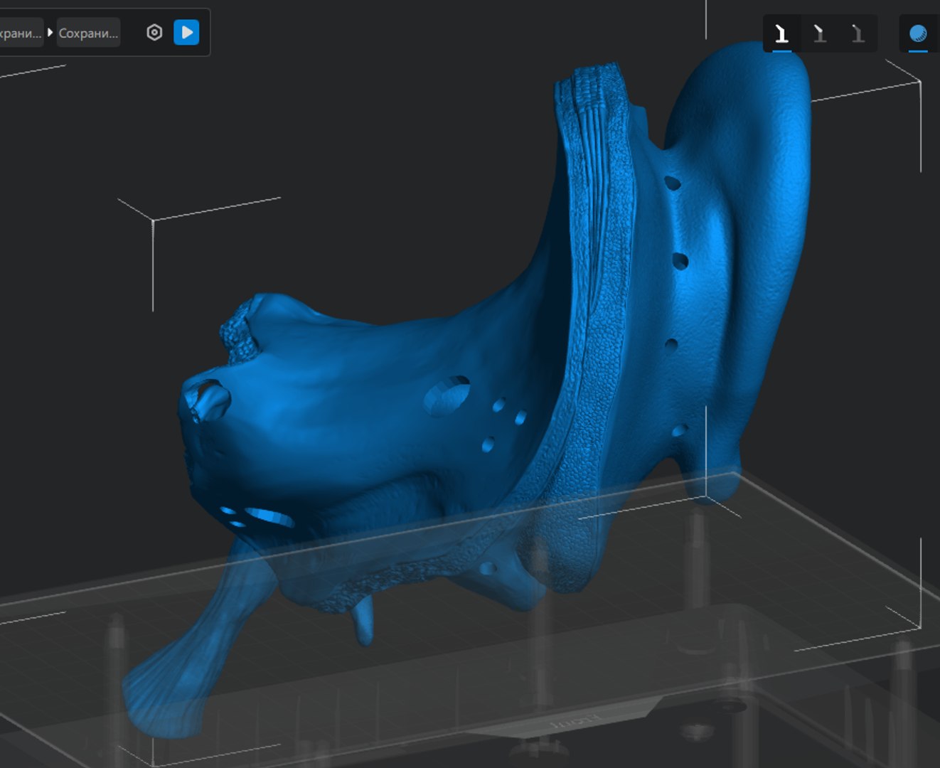 3D model Ear Cross Section Anatomy Printable https://p.turbosquid.com/ts-thumb/DO/AQBWPY/4G/screenshot_4/png/1776198857/1920x1080/fit_q87/49ad52234021240e47006d1d42ae96aa0d13b8fb/screenshot_4.jpg