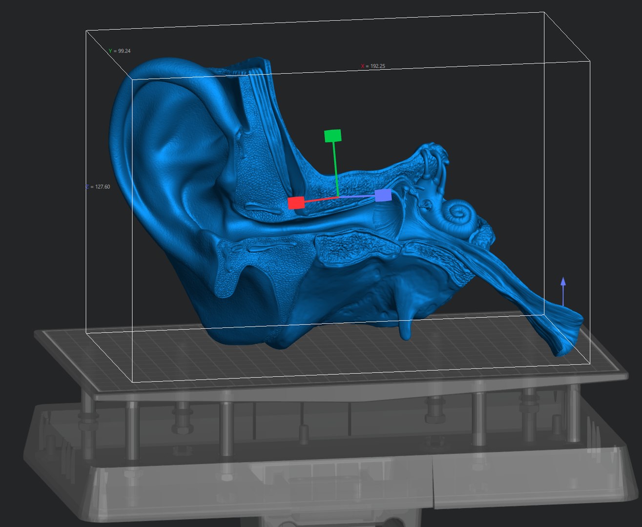 3D model Ear Cross Section Anatomy Printable https://p.turbosquid.com/ts-thumb/DO/AQBWPY/Yg/screenshot_2/png/1776198854/1920x1080/fit_q87/b20a9e0f3a3456219cc73209f673804598e2c973/screenshot_2.jpg
