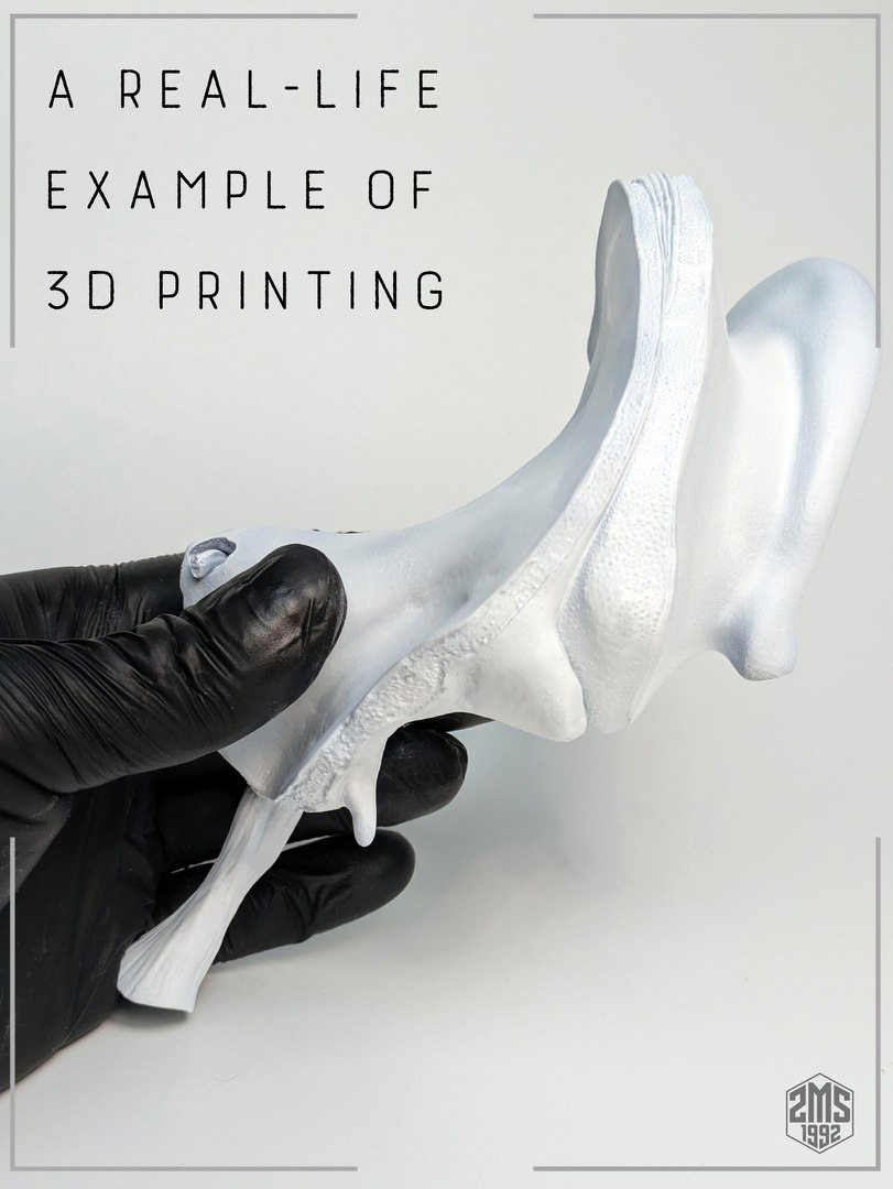 3D model Ear Cross Section Anatomy Printable https://p.turbosquid.com/ts-thumb/DO/AQBWPY/hl/f2/jpg/1776196665/1920x1080/fit_q87/f56bee74093653114f922480e92b9ecc9c2bfe54/f2.jpg