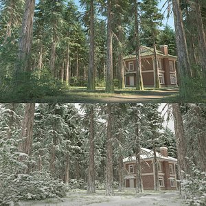 cedar trees 3D model