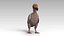 Dodo