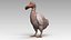 Dodo